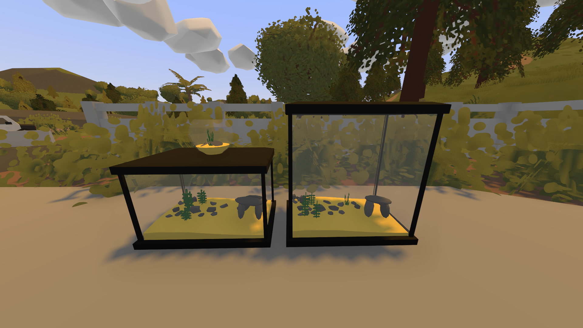 Deco I Aquarium Emerite Studio